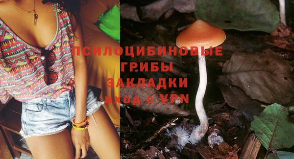 МДПВ Аркадак