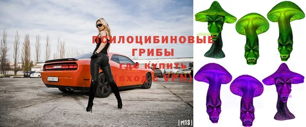 МДПВ Аркадак