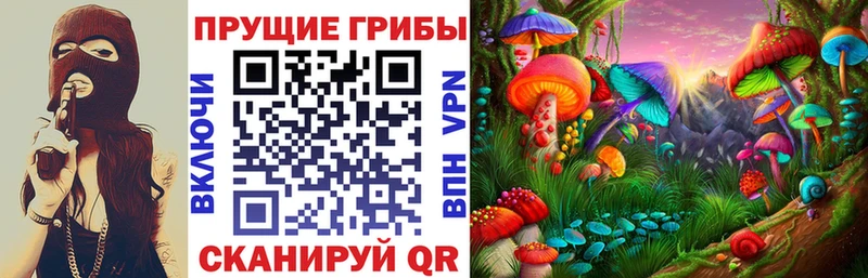 купить наркотик  блэк спрут ТОР  Псилоцибиновые грибы GOLDEN TEACHER  Долгопрудный 